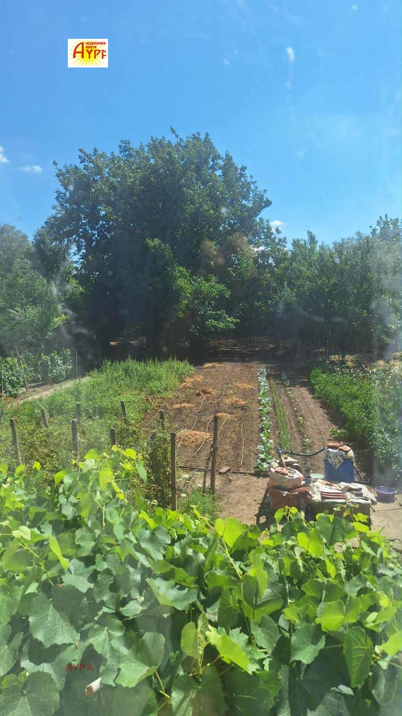 Продава КЪЩА, с. Попица, област Враца, снимка 10 - Къщи - 52230353