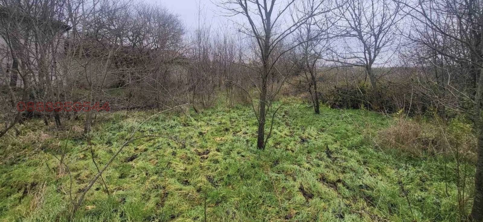 Продава КЪЩА, с. Полковник Иваново, област Добрич, снимка 4 - Къщи - 53980271