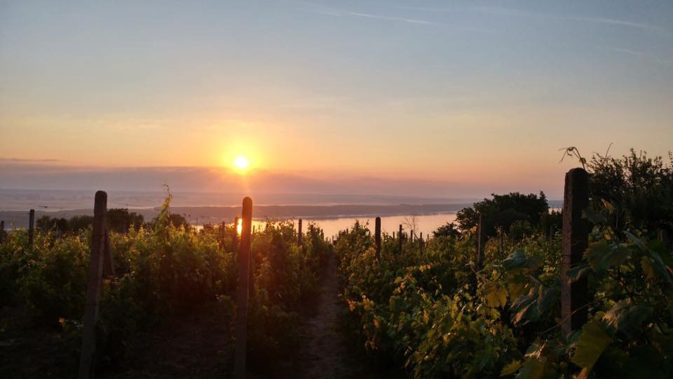 Продава ПАРЦЕЛ, гр. Оряхово, област Враца, снимка 6 - Парцели - 54240391