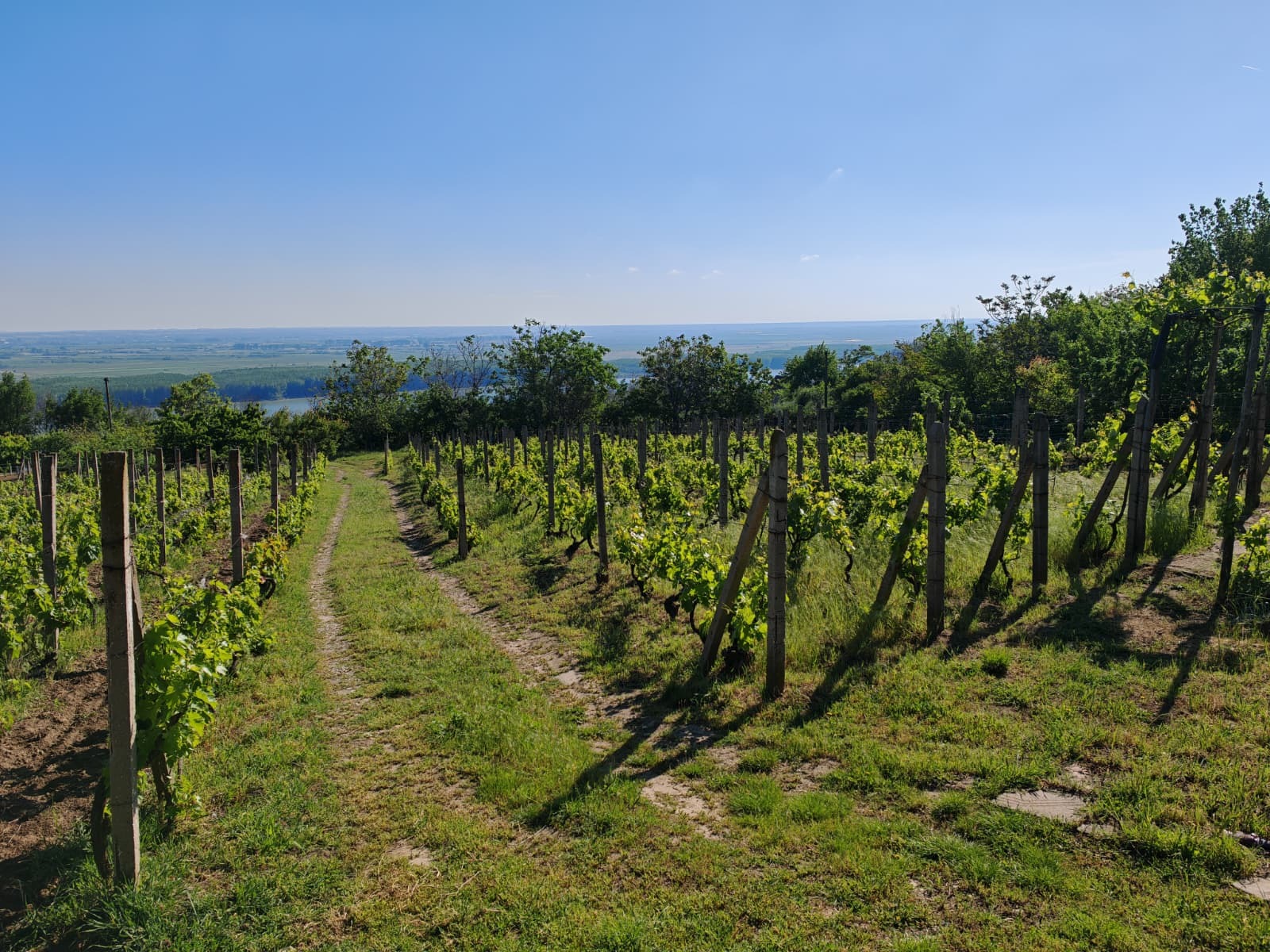 Продава ПАРЦЕЛ, гр. Оряхово, област Враца, снимка 3 - Парцели - 54240391