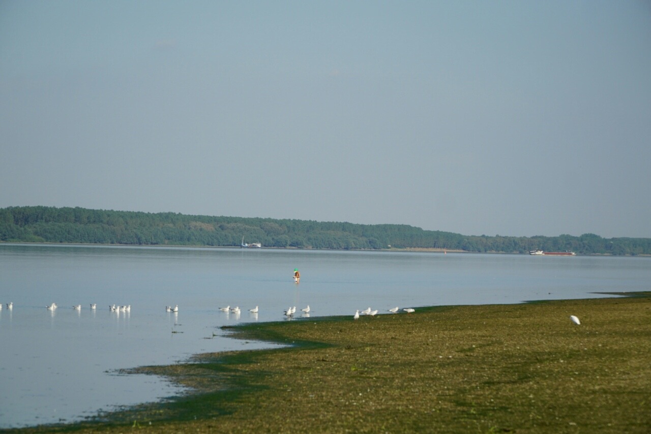 Продава ПАРЦЕЛ, гр. Оряхово, област Враца, снимка 5 - Парцели - 54240391