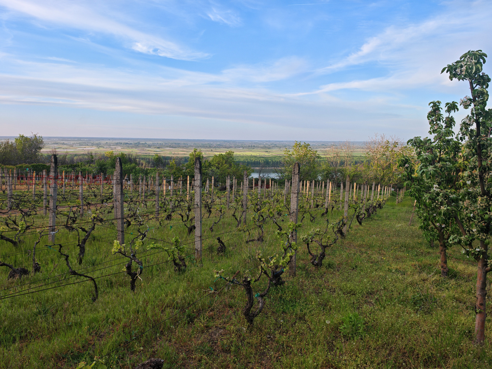Продава ПАРЦЕЛ, гр. Оряхово, област Враца, снимка 9 - Парцели - 54240391