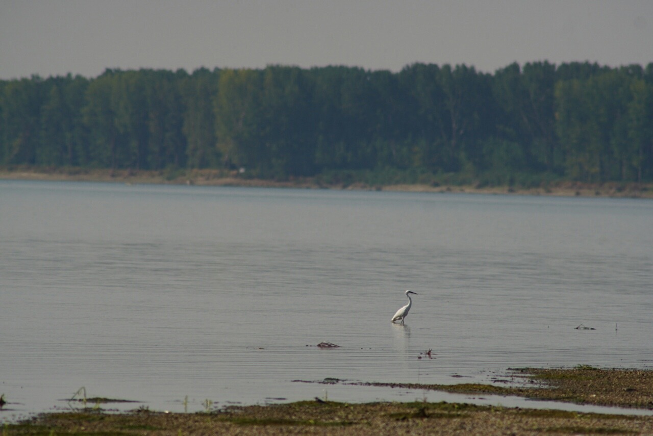 Продава ПАРЦЕЛ, гр. Оряхово, област Враца, снимка 4 - Парцели - 54240391