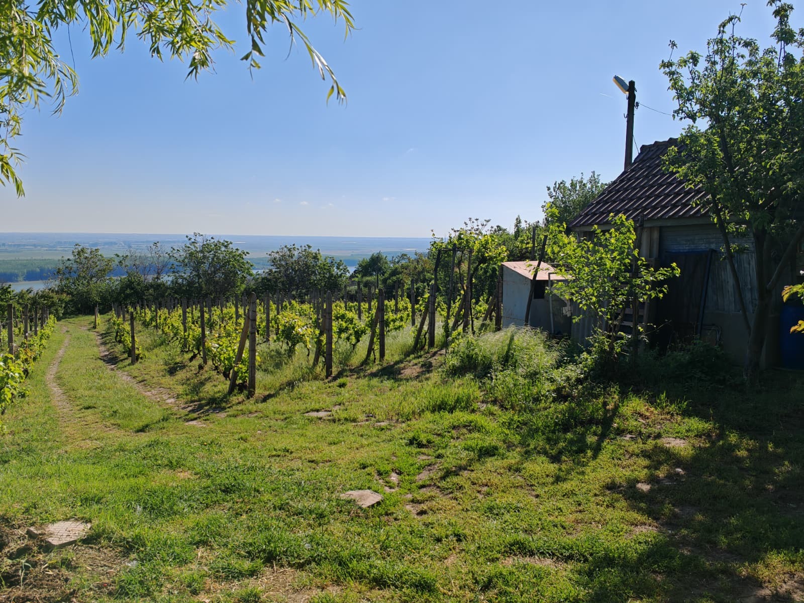 Продава ПАРЦЕЛ, гр. Оряхово, област Враца, снимка 2 - Парцели - 54240391