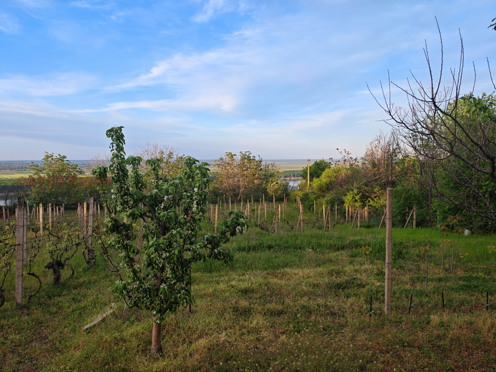 Продава ПАРЦЕЛ, гр. Оряхово, област Враца, снимка 11 - Парцели - 54240391