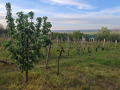 Продава ПАРЦЕЛ, гр. Оряхово, област Враца, снимка 14
