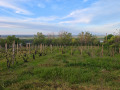Продава ПАРЦЕЛ, гр. Оряхово, област Враца, снимка 16