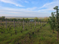 Продава ПАРЦЕЛ, гр. Оряхово, област Враца, снимка 9