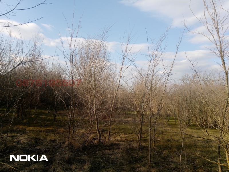 Продава КЪЩА, с. Червенци, област Варна, снимка 5 - Къщи - 53520617