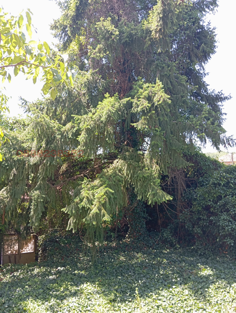 Продава ПРОМ. ПОМЕЩЕНИЕ, с. Пиргово, област Русе, снимка 11 - Производствени сгради - 52786267