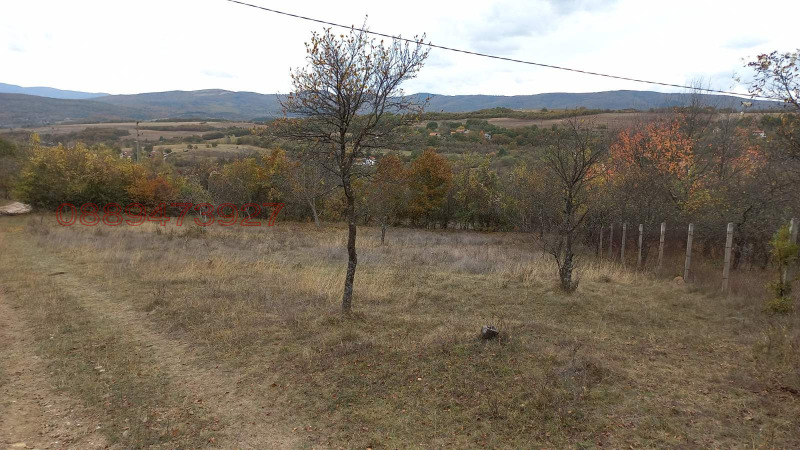 Продава ПАРЦЕЛ, с. Косача, област Перник, снимка 2 - Парцели - 52781716