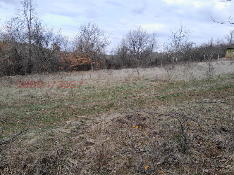 Продава ПАРЦЕЛ, с. Косача, област Перник, снимка 8 - Парцели - 52781716