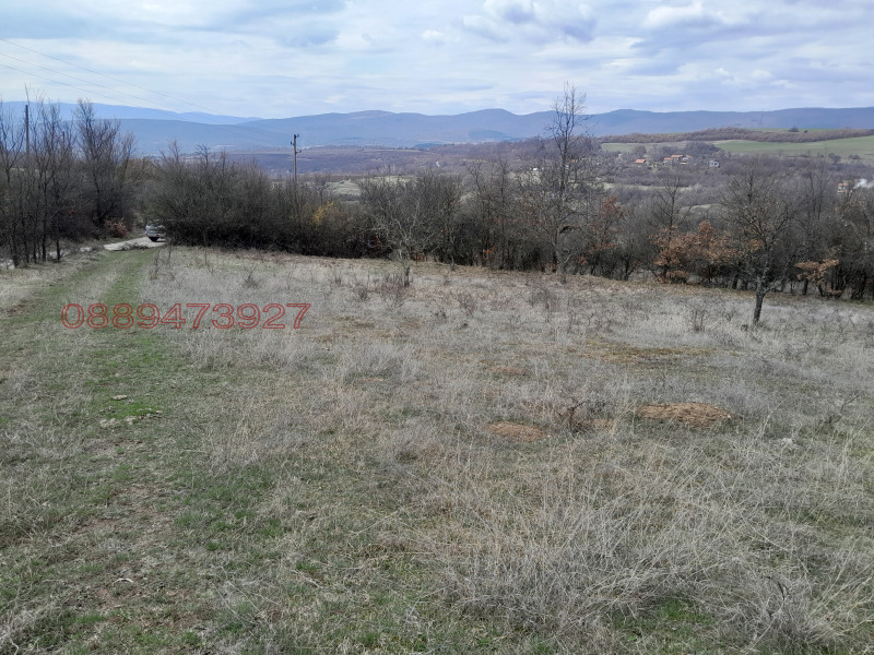 Продава ПАРЦЕЛ, с. Косача, област Перник, снимка 12 - Парцели - 52781716