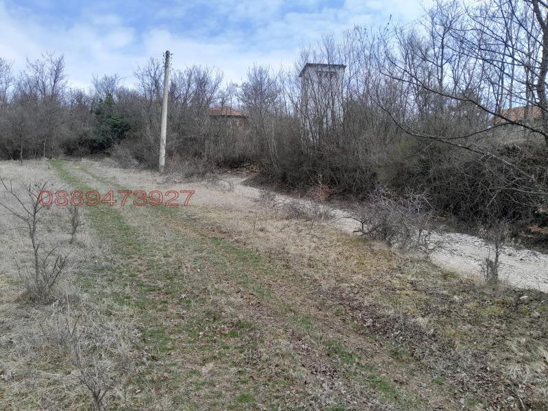 Продава ПАРЦЕЛ, с. Косача, област Перник, снимка 10 - Парцели - 52781716