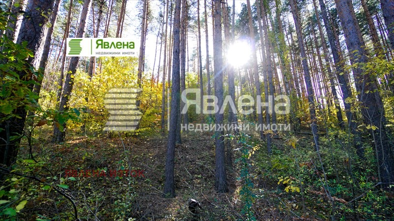 Продава ПАРЦЕЛ, гр. София, м-т Щъркелово гнездо, снимка 5 - Парцели - 54528710