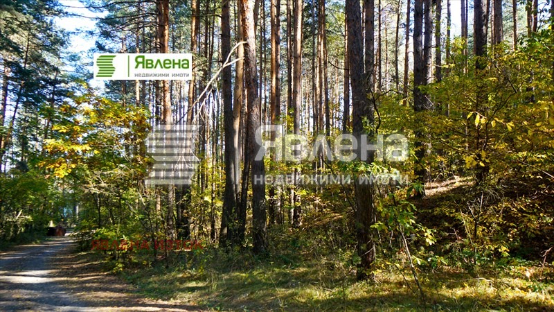 Продава ПАРЦЕЛ, гр. София, м-т Щъркелово гнездо, снимка 4 - Парцели - 54528710