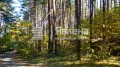 Продава ПАРЦЕЛ, гр. София, м-т Щъркелово гнездо, снимка 4