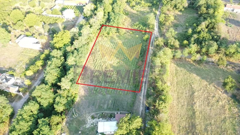 Продава  Парцел област Варна , с. Щипско , 2000 кв.м | 10706209