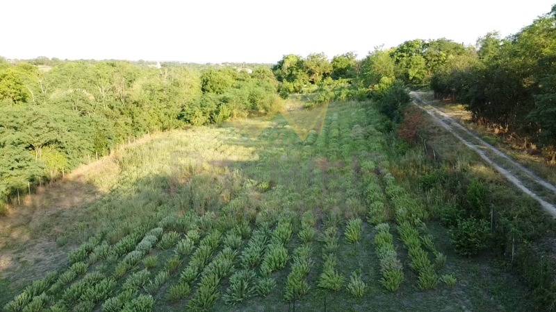 Продава  Парцел област Варна , с. Щипско , 2000 кв.м | 10706209 - изображение [3]