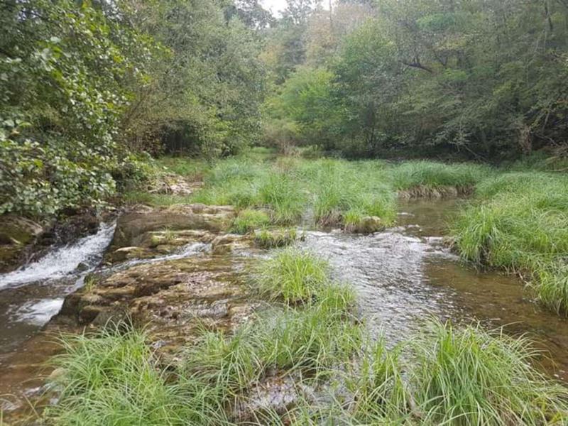 Продава ПАРЦЕЛ | Imot.bg — изображение 8