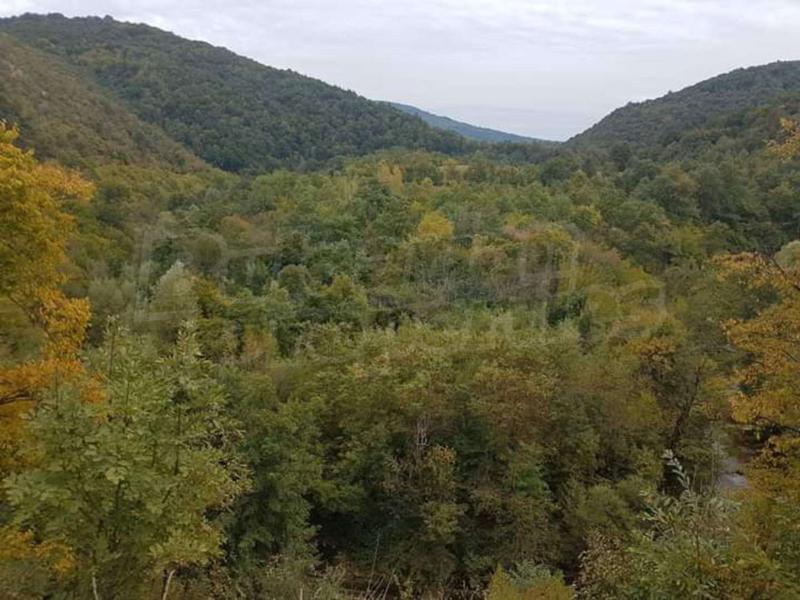 Продава ПАРЦЕЛ | Imot.bg — изображение 4