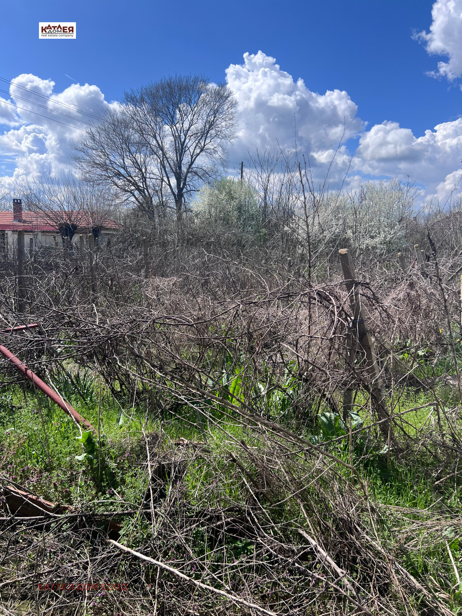 ������� ���� | Imot.bg � ����������� 12