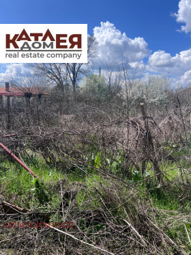 ������� ���� | Imot.bg � ����� ������ 12