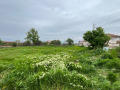 Продава КЪЩА, област Пловдив, с. Ръжево • 48800 € • 69512853 — Holmes.bg