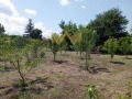 Продава ПАРЦЕЛ, област Варна, с. Горен чифлик • 16000 € • 45118792 — Holmes.bg
