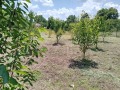 Продава ПАРЦЕЛ, област Варна, с. Горен чифлик • 16000 € • 45118792 — Holmes.bg