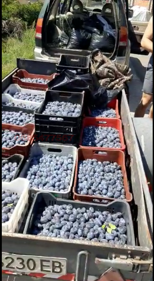 ������� ���������� ���� | Imot.bg � ����������� 8