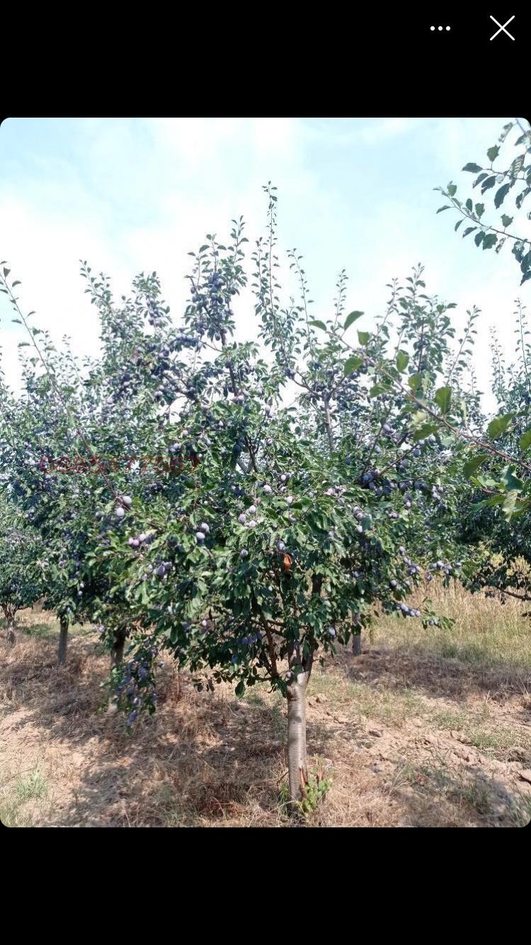 ������� ���������� ���� | Imot.bg � ����������� 15