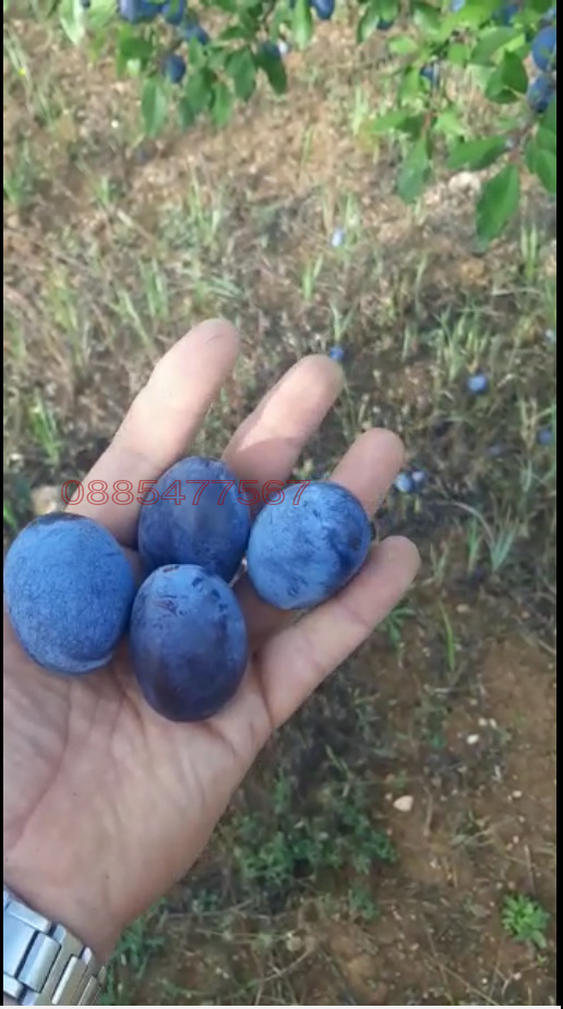 ������� ���������� ���� | Imot.bg � ����������� 4