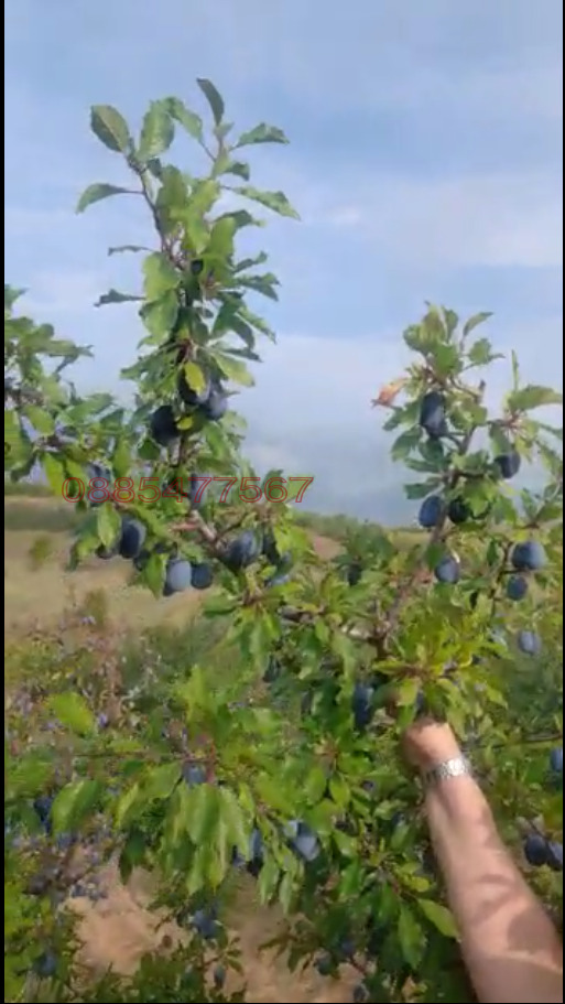 ������� ���������� ���� | Imot.bg � ����������� 3