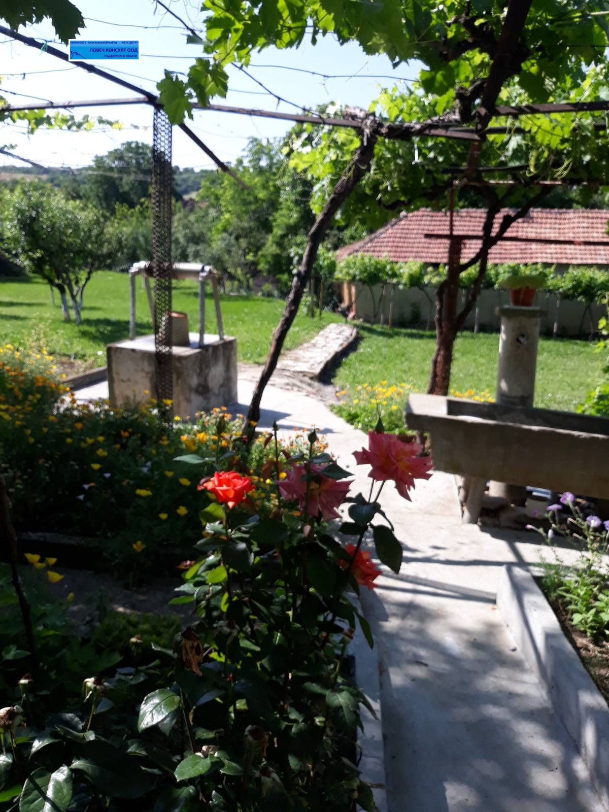 ������� ���� | Imot.bg � ����������� 11