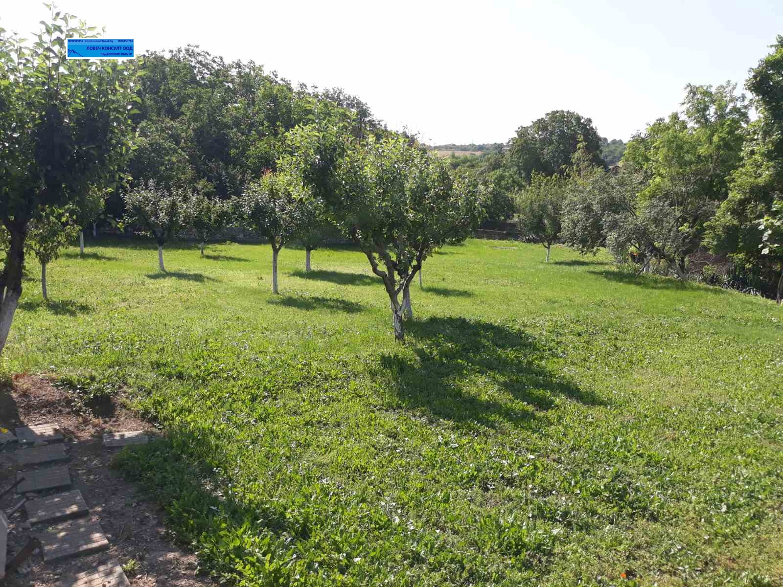 ������� ���� | Imot.bg � ����������� 12