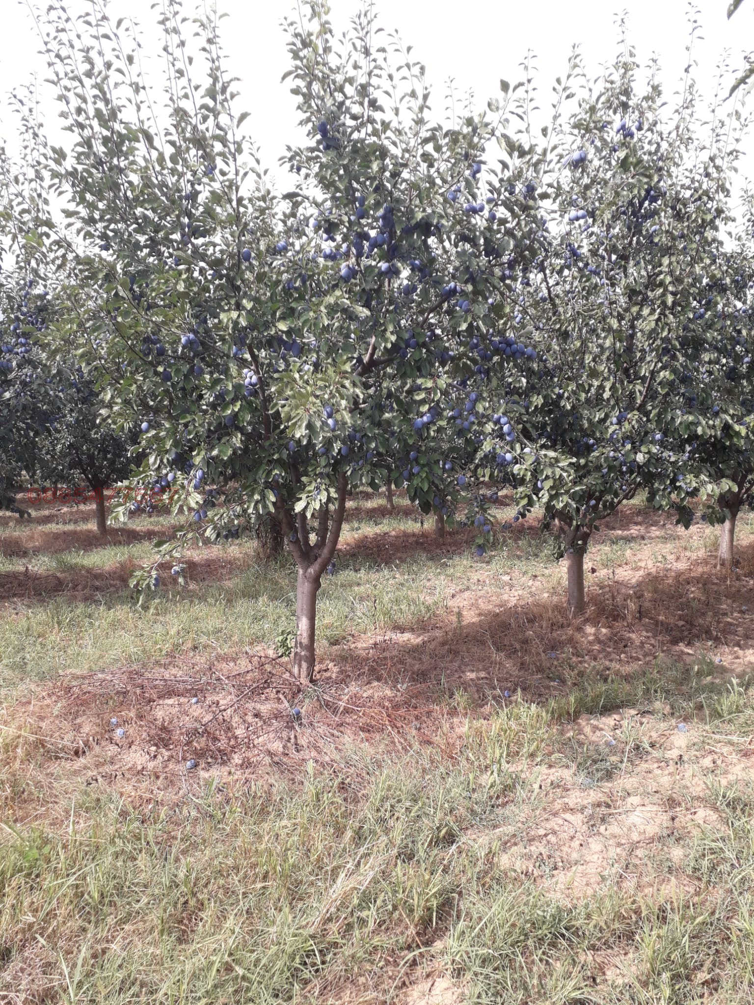 ������� ���������� ���� | Imot.bg � ����������� 2