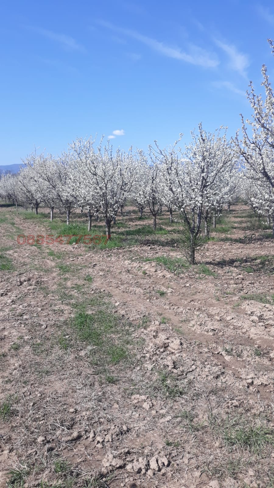 ������� ���������� ���� | Imot.bg � ����������� 12