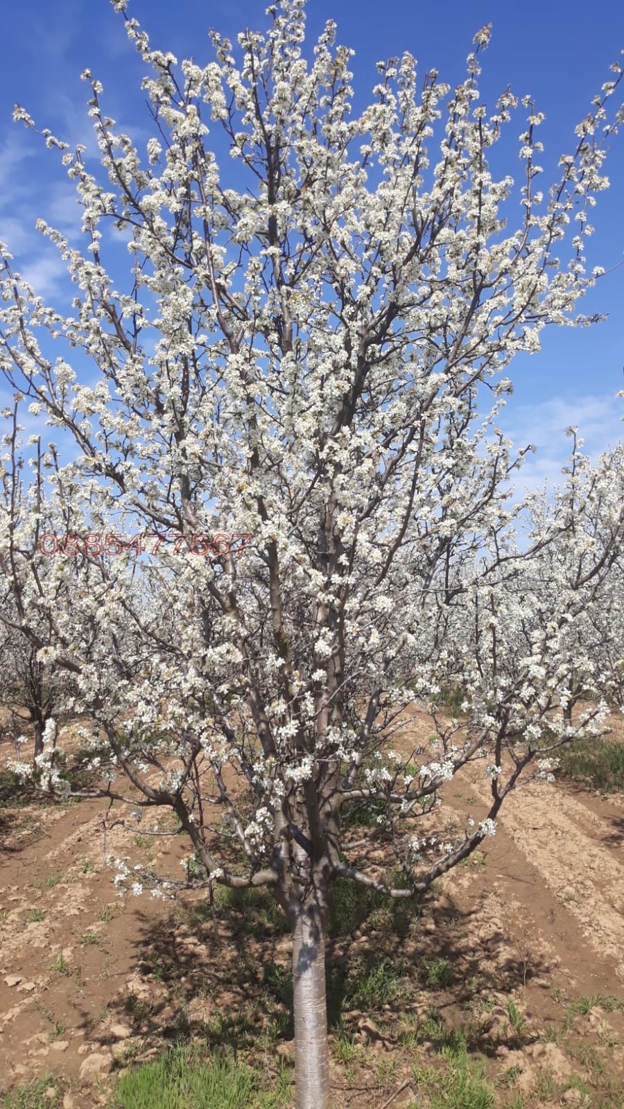 ������� ���������� ���� | Imot.bg � ����������� 13