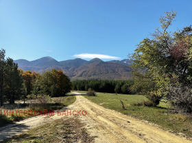 Plot Razlog, region Blagoevgrad 3