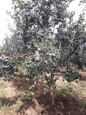 ������� ���������� ���� | Imot.bg � ����� ������ 14