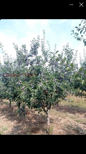 ������� ���������� ���� | Imot.bg � ����� ������ 15