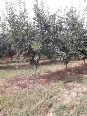 ������� ���������� ���� | Imot.bg � ����� ������ 2