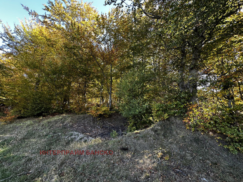 For Sale  Plot region Blagoevgrad , Razlog , 808 sq.m | 46358523 - image [10]