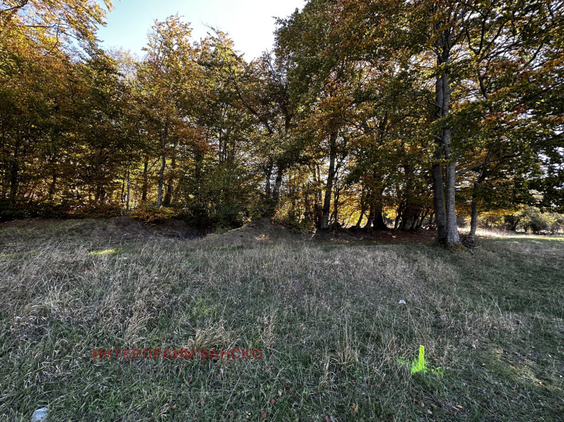 For Sale  Plot region Blagoevgrad , Razlog , 808 sq.m | 46358523 - image [6]