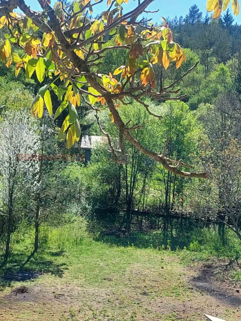 Продава ПАРЦЕЛ, град София, гр. Банкя • 27900 € • 53108402 — Holmes.bg