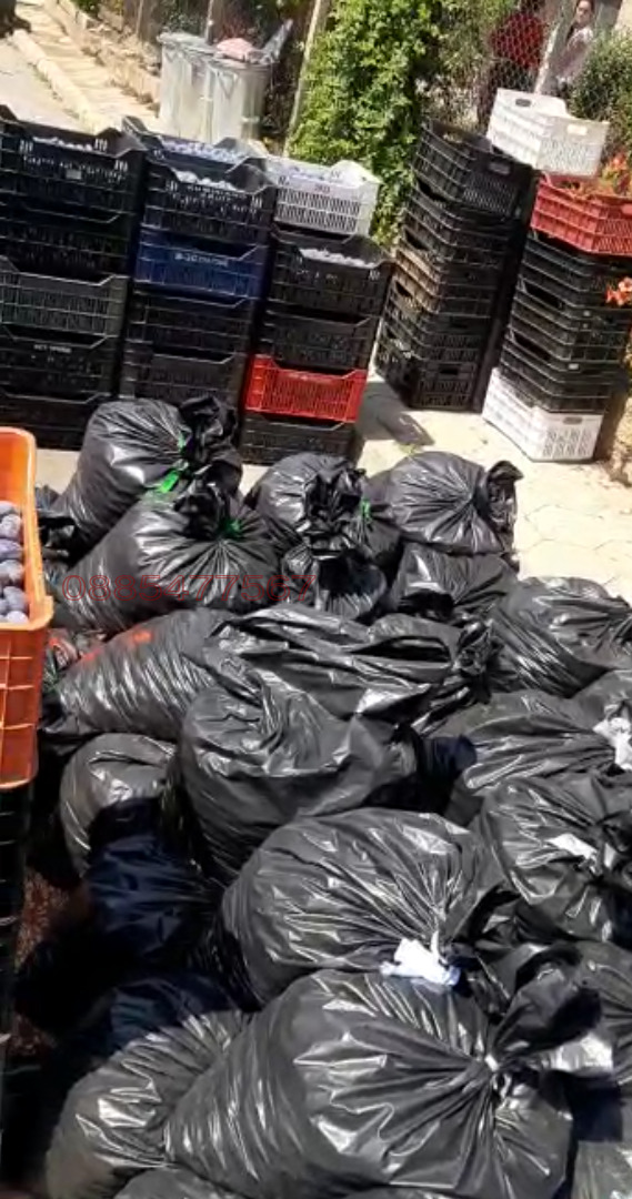 Продава ЗЕМЕДЕЛСКА ЗЕМЯ, с. Горна Гращица, област Кюстендил, снимка 8 - Земеделска земя - 54033424