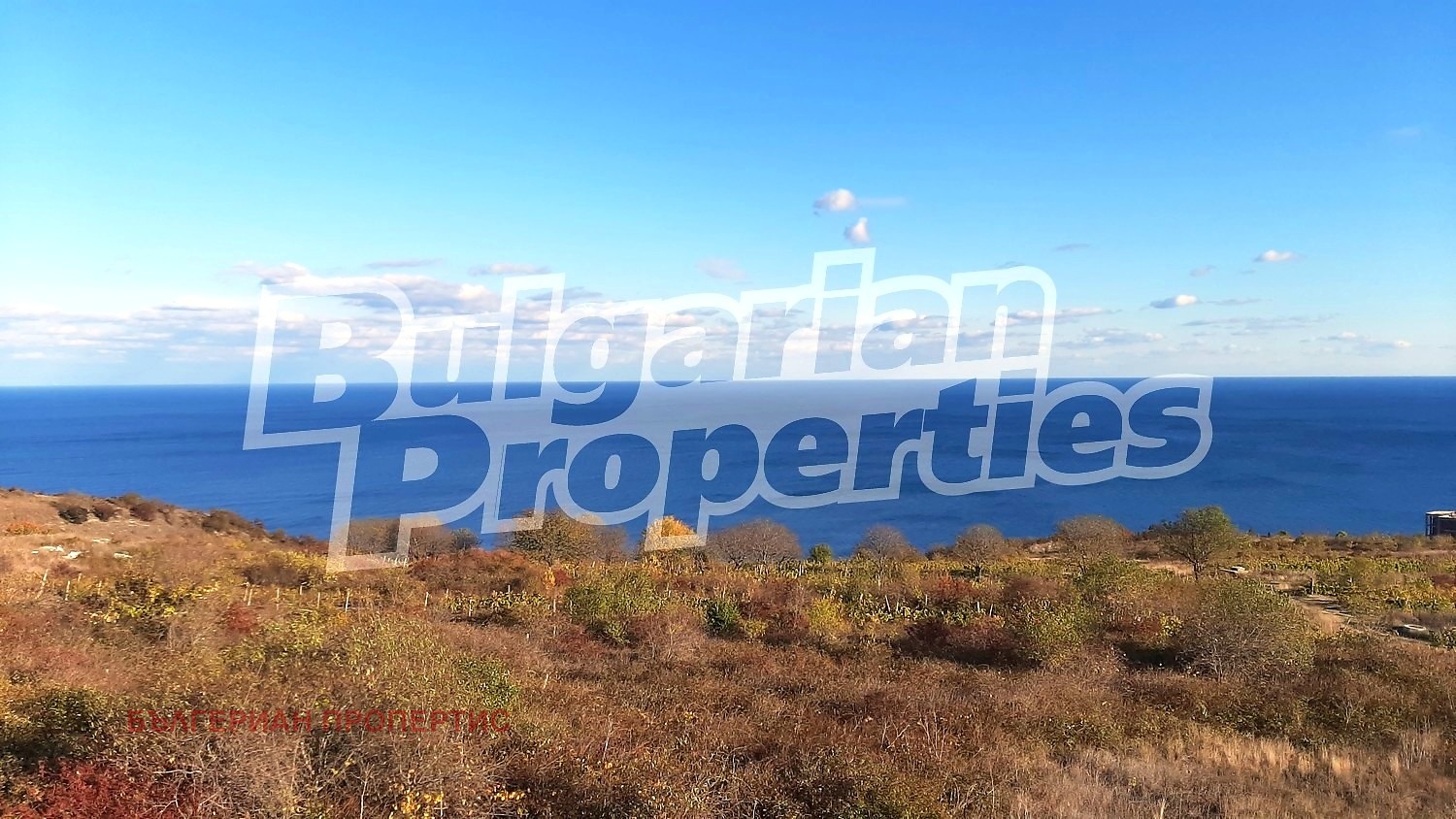 ������� ������ | Imot.bg � ����������� 3