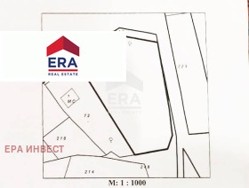 ������ ������� ������