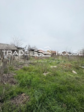 ����� ������� ������,�. �������, ������ �������